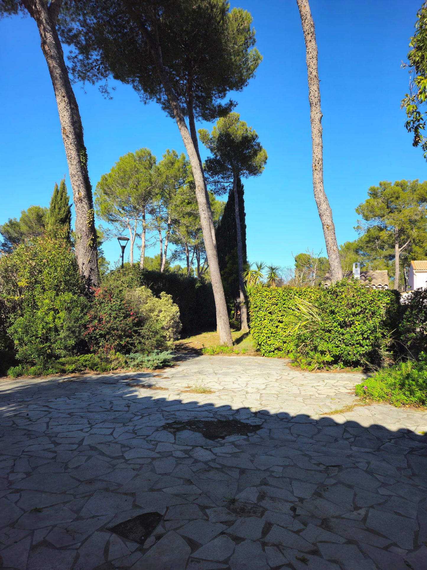 Sublime traditional house of more than 180m² in Clapiers - Exceptional calm and wooded environment