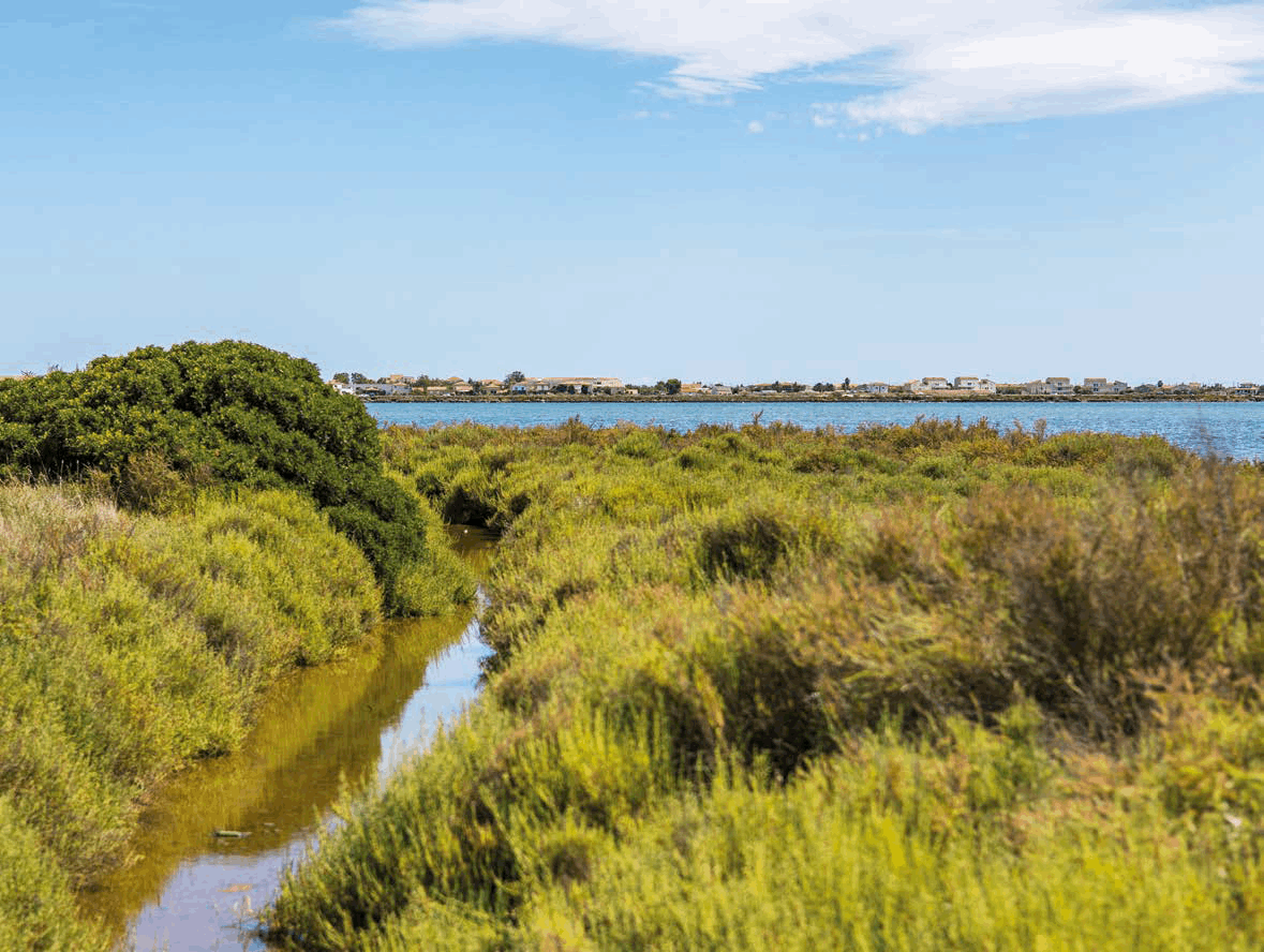 Jolie résidence avec extérieurs à Mireval, entre Sète et Montpellier - du T2 au T3